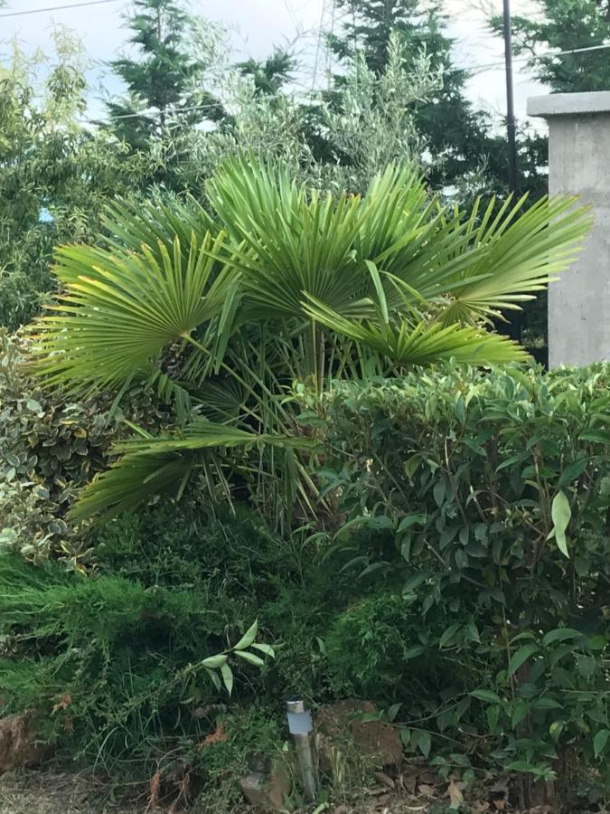 הוילה אספרובלטה Casa Dei Fiori מראה חיצוני תמונה