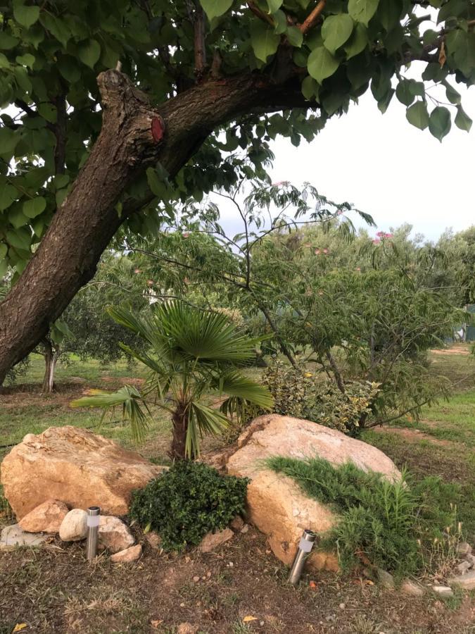 הוילה אספרובלטה Casa Dei Fiori מראה חיצוני תמונה